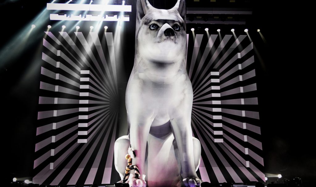 Giant inflatable husky 'Floyd' for Miley Cyrus Bangerz Tour, 2014